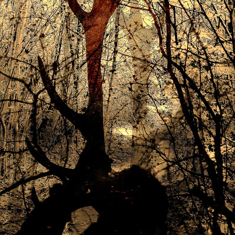 Exhibitions and Awards - Riverside Gallery, Richmond, From The Pages Of A Book 2015, Only The Green Forest Can Hold Me