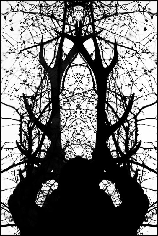 Exhibitions and Awards - Riverside Gallery, Richmond, Metamorphosis 2015, Boy Changed Into A Stag II