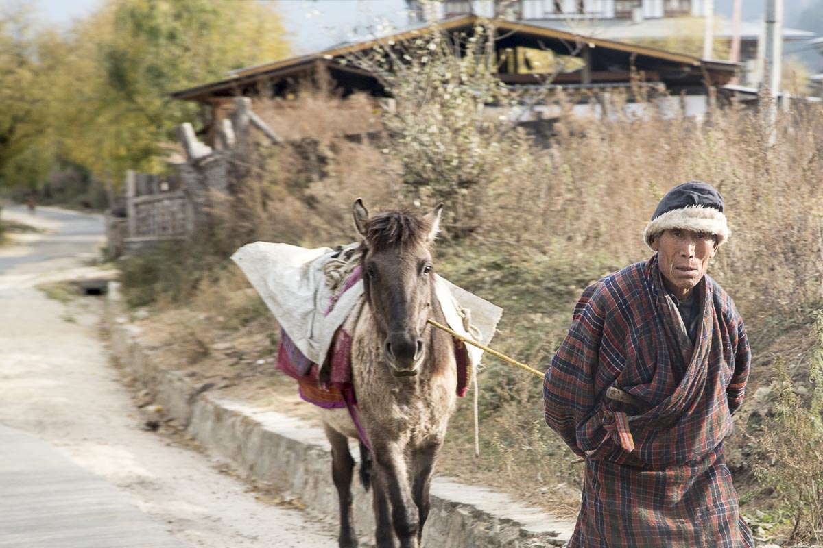 Bhutan - Bumthang, Chokhor Valley - November 14, 2014