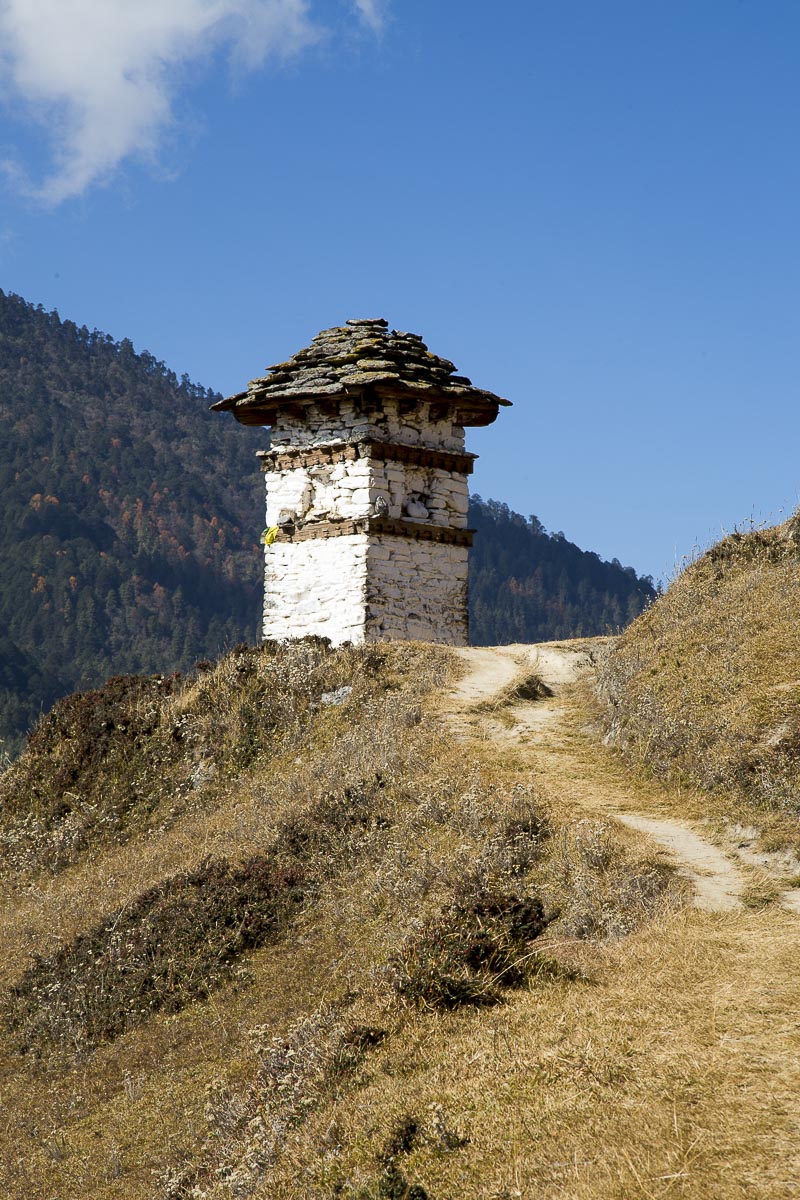 Bhutan - Gangtey Valley - November 12, 2014