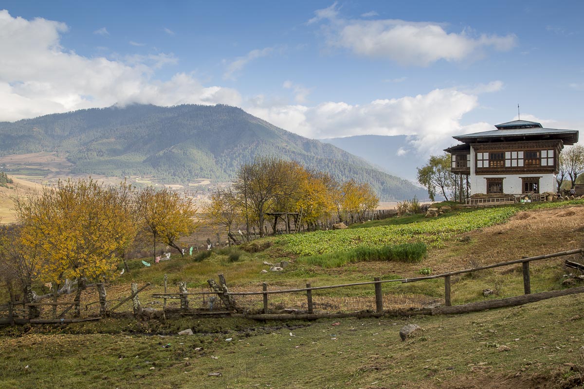 Bhutan - Gangtey Valley - November 12, 2014