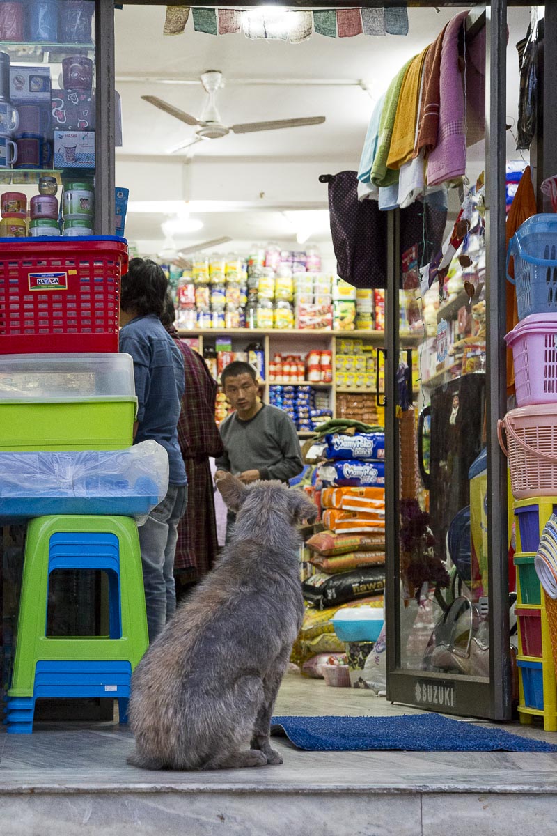 Bhutan - Punakha Shop - November 10, 2014
