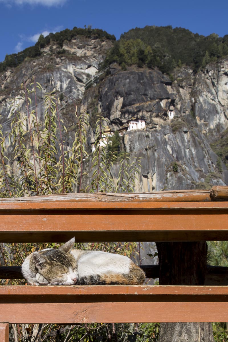 Bhutan - Tiger's Nest - November 9, 2014