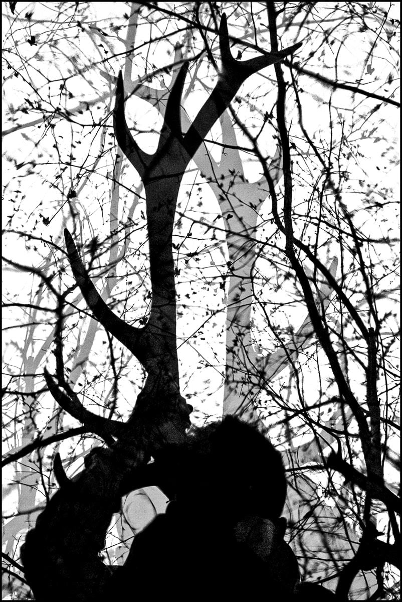 Gate Of Secrets - Boy Changed Into A Stag I - April 22, 2013