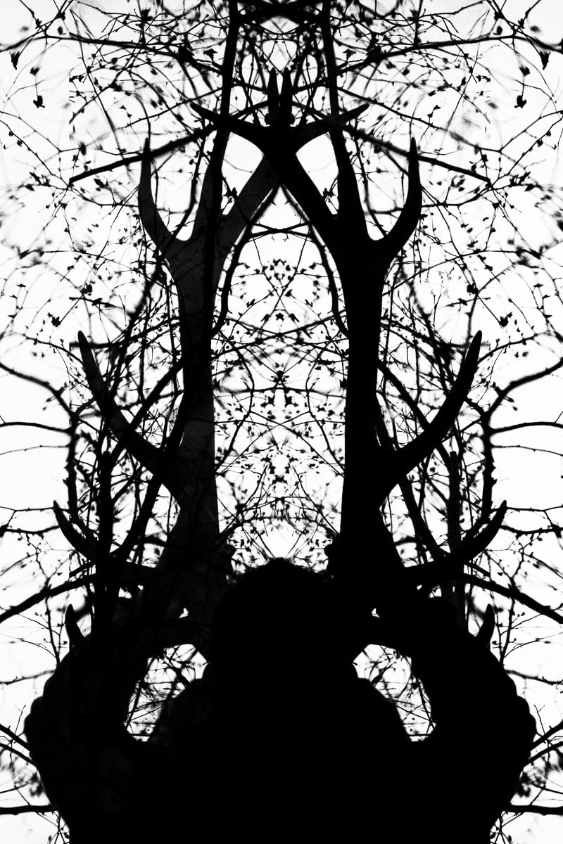 Gate Of Secrets - Boy Changed Into A Stag II - April 22, 2013