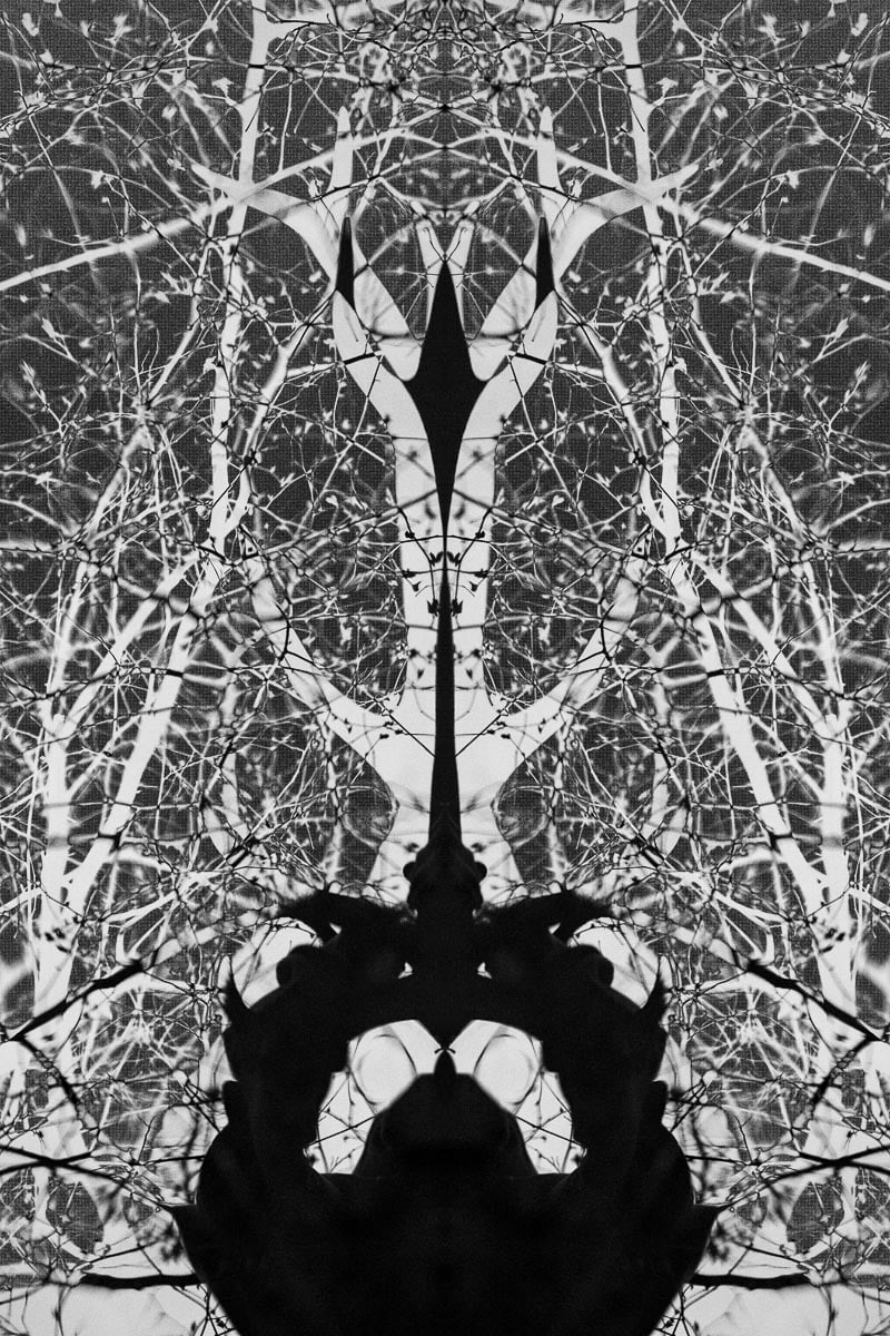 Gate Of Secrets - Boy Changed Into A Stag III - April 22, 2013