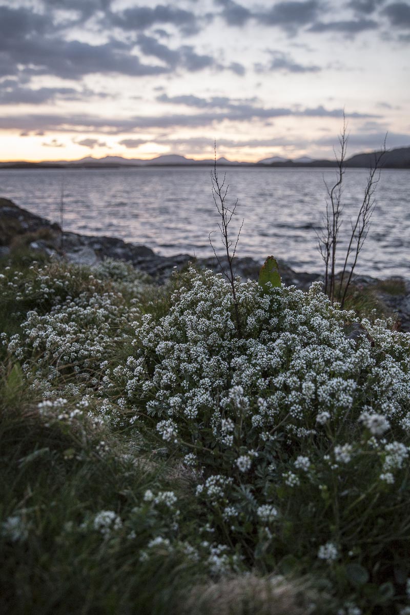 Argyll Scotland - Buidhe, Craobh Haven - May 6, 2016