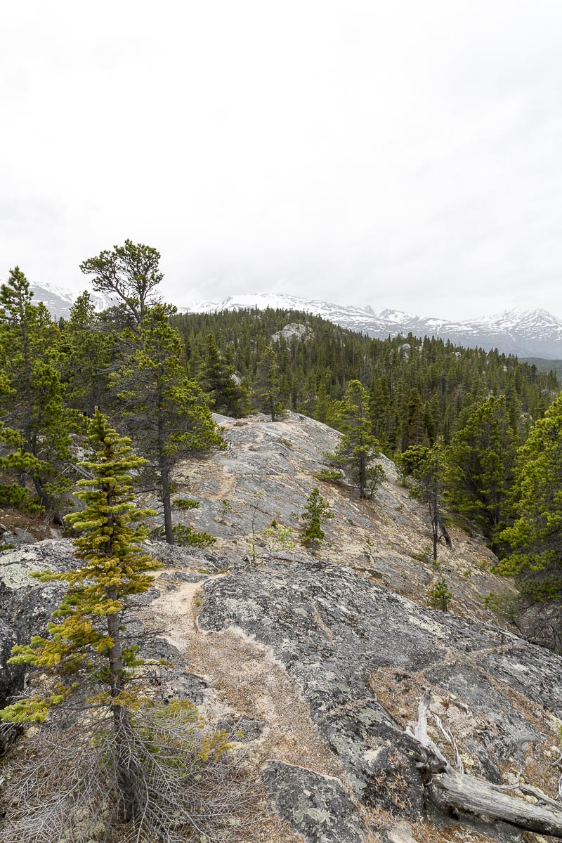 Yukon - Chilkoot Trail - June 23, 2014