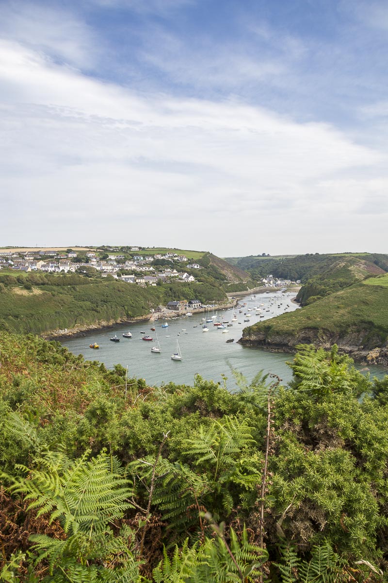 Pembrokeshire - Coastal Path, Solva To Whitesands, Solva Harbour - August 11, 2012
