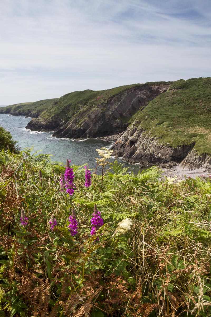 Pembrokeshire - Coastal Path, Solva To Whitesands - August 11, 2012