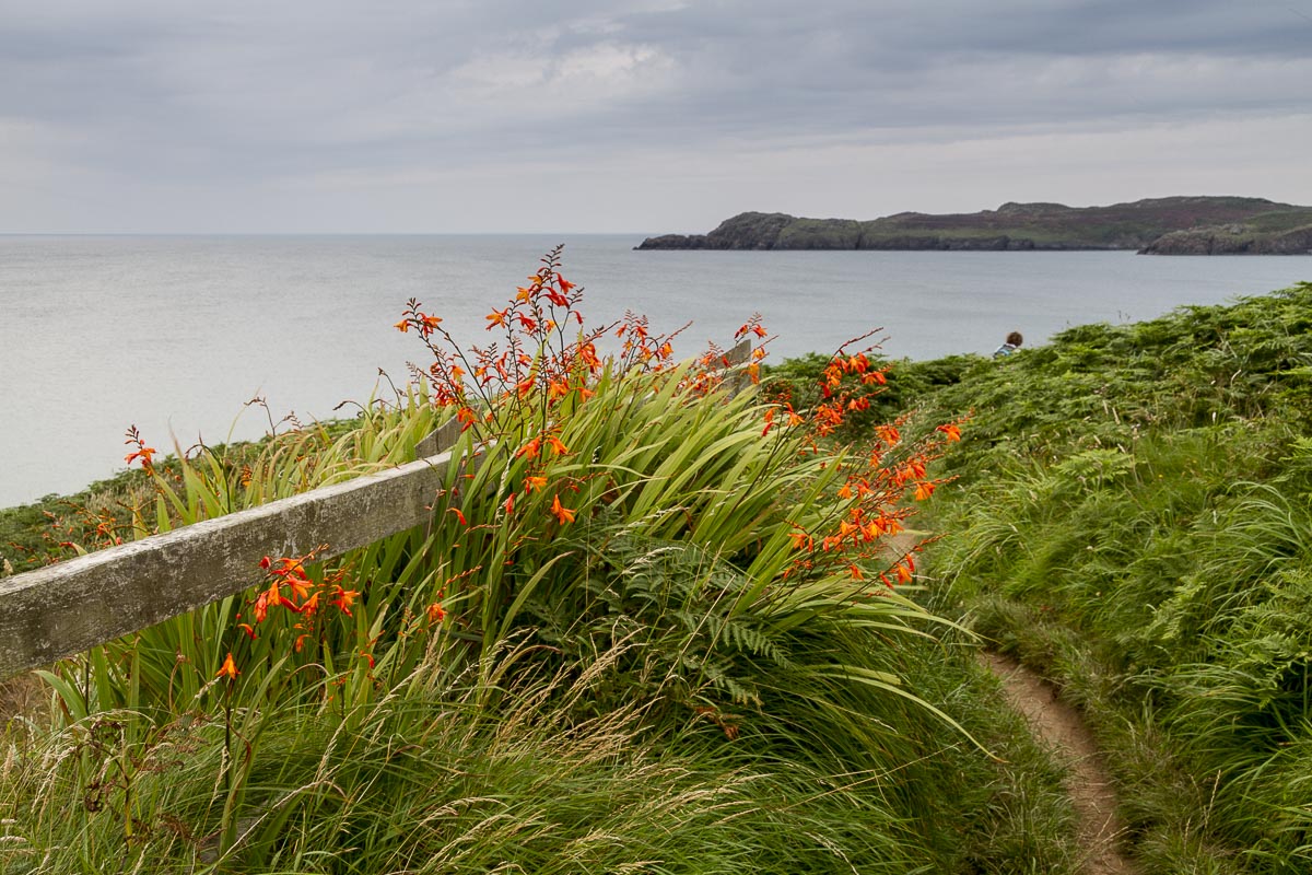 Pembrokeshire - Coastal Path, Solva To Whitesands - August 11, 2012