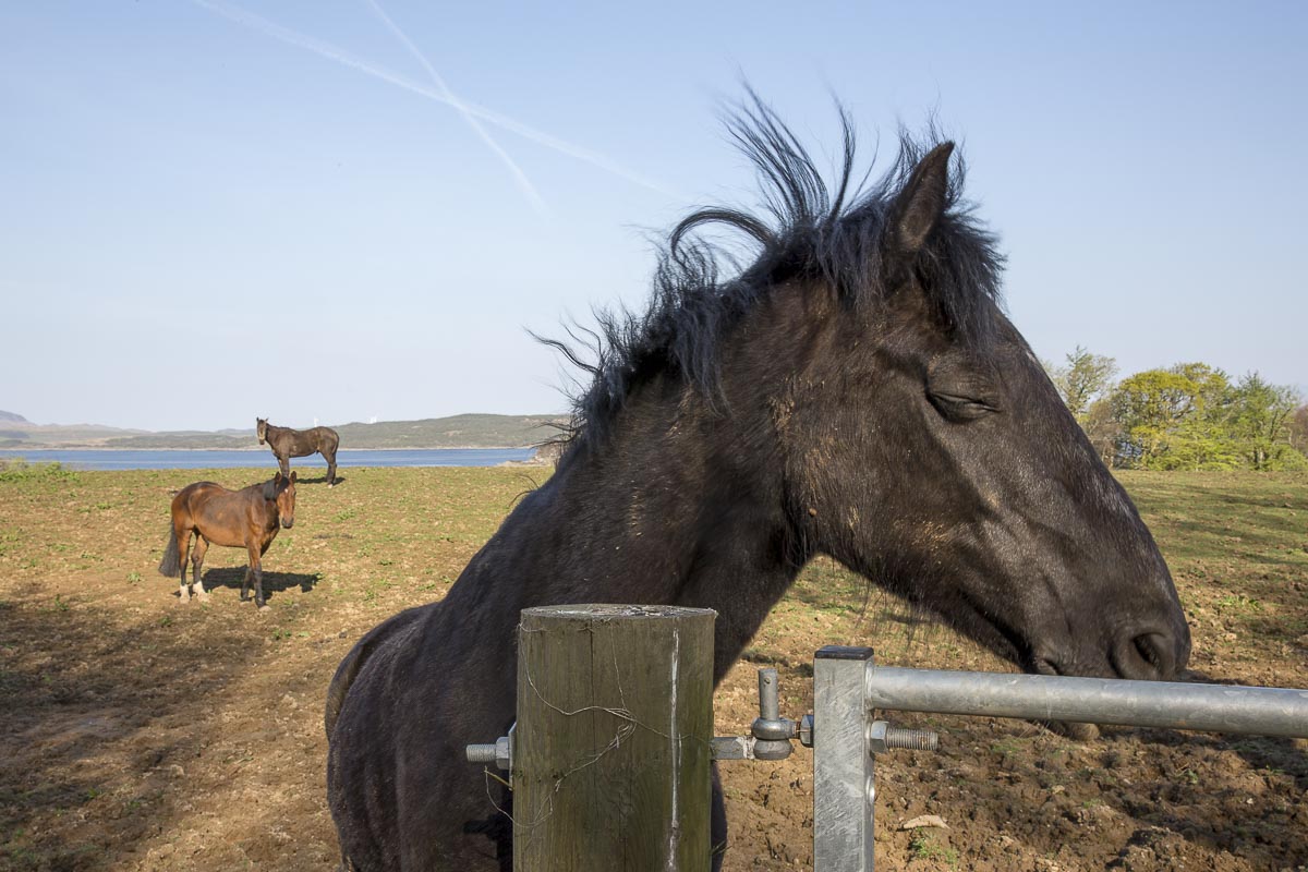 Argyll Scotland - Craobh Haven - May 9, 2016