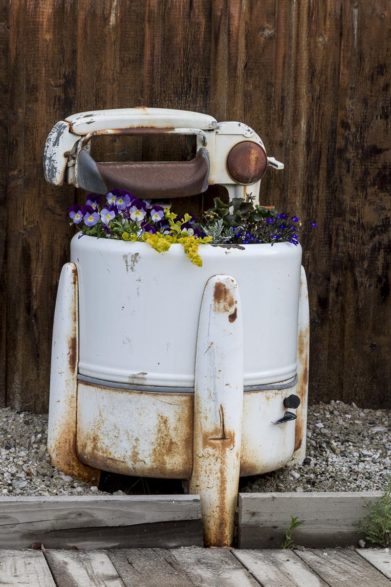 Yukon - Dawson City - June 20, 2014