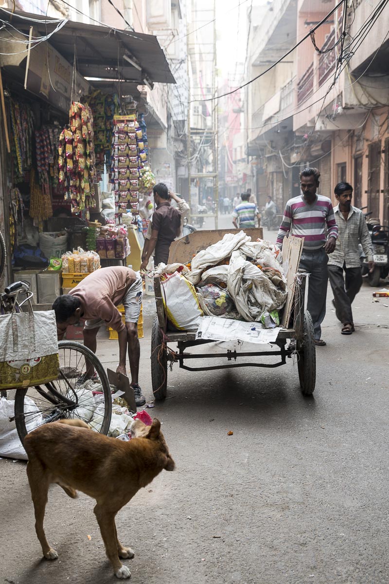 Delhi - Old Delhi Alleyway - November 20, 2015