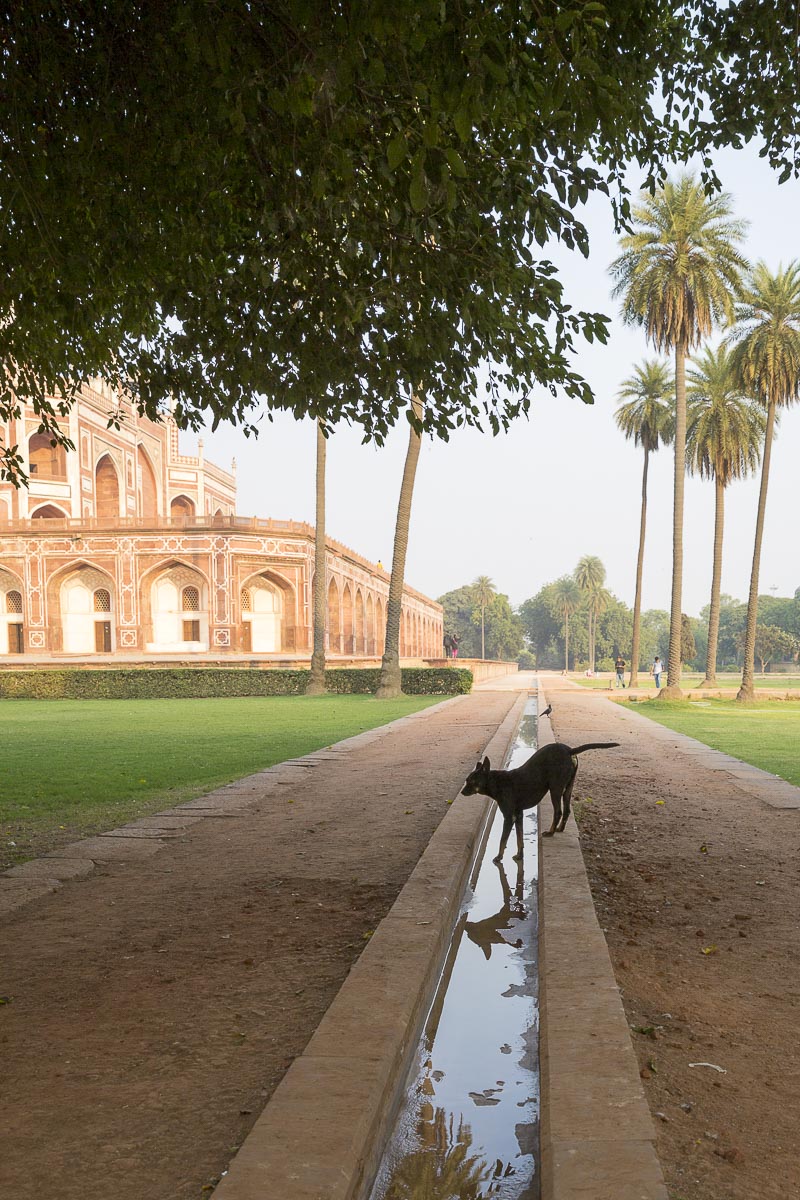 Delhi - Humuyun's Tomb - November 20, 2015