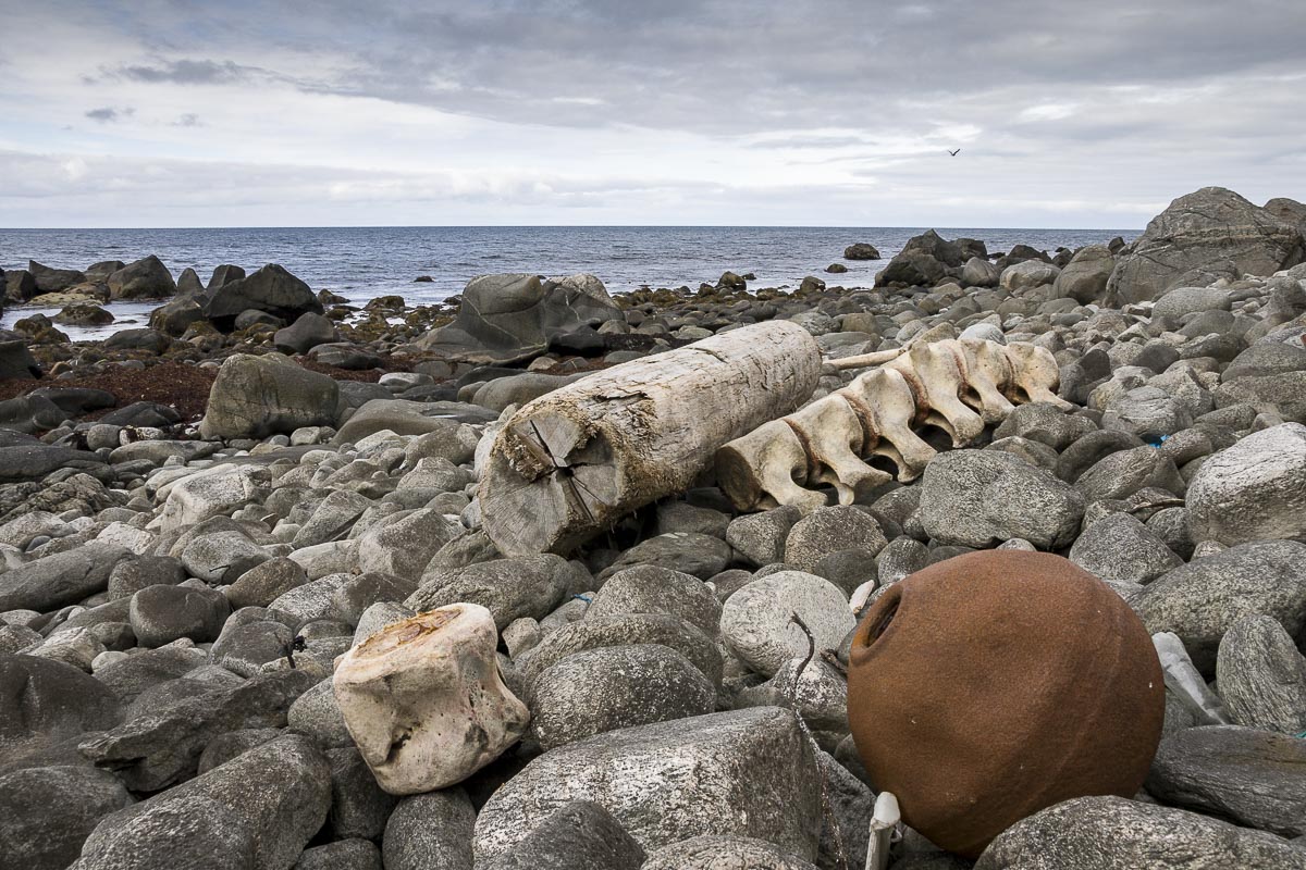 Lofoten Norway - Eggum Whale Bones - June 12, 2008