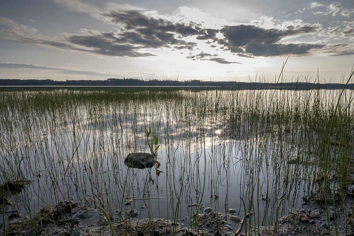 Finland - Kuhmo - July 17, 2009