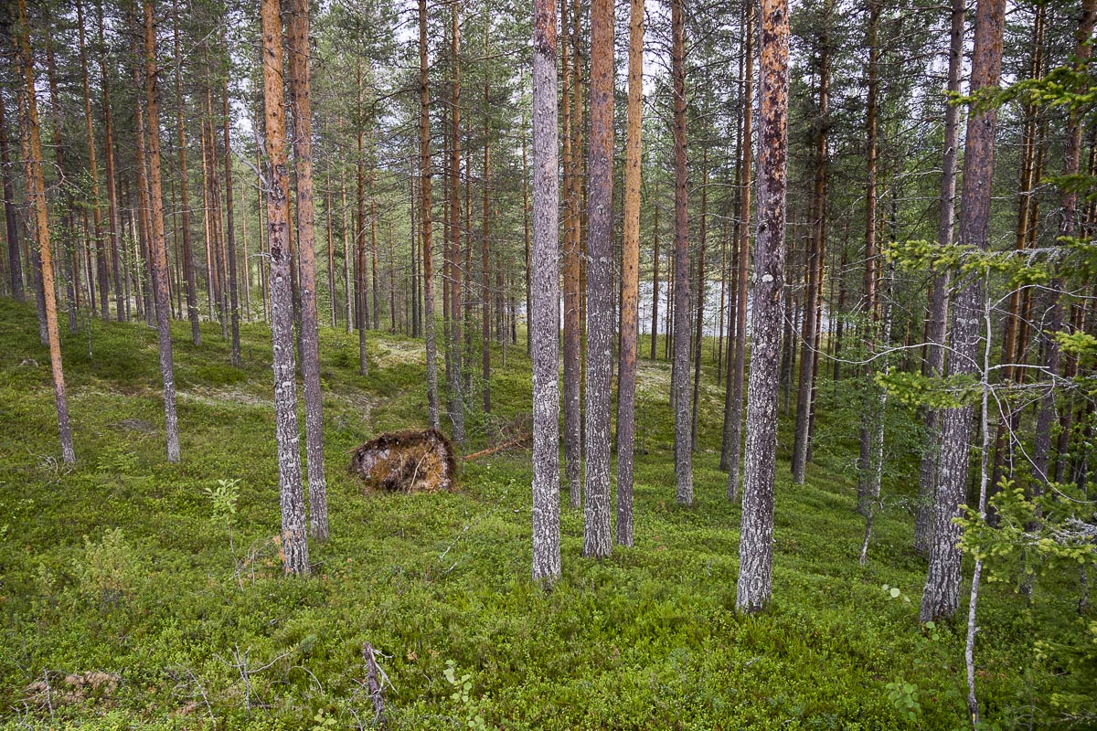 Finland - Lentira - July 18, 2009