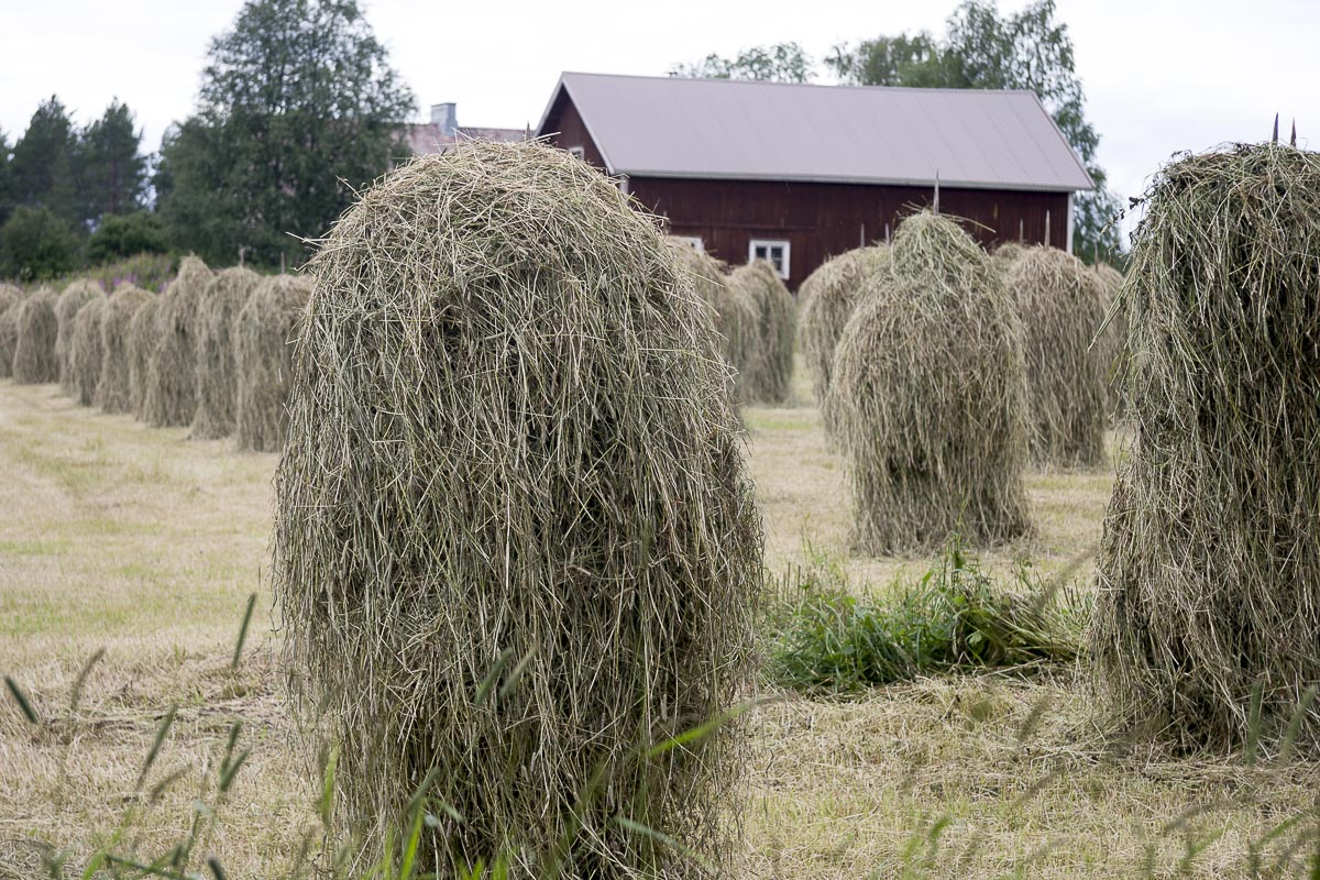 Finland - Lentira - July 18, 2009
