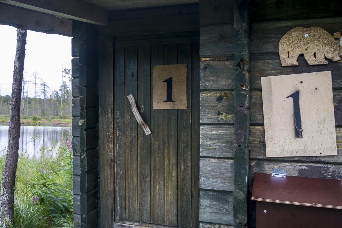 Finland - Wild Brown Bear - July 19, 2009