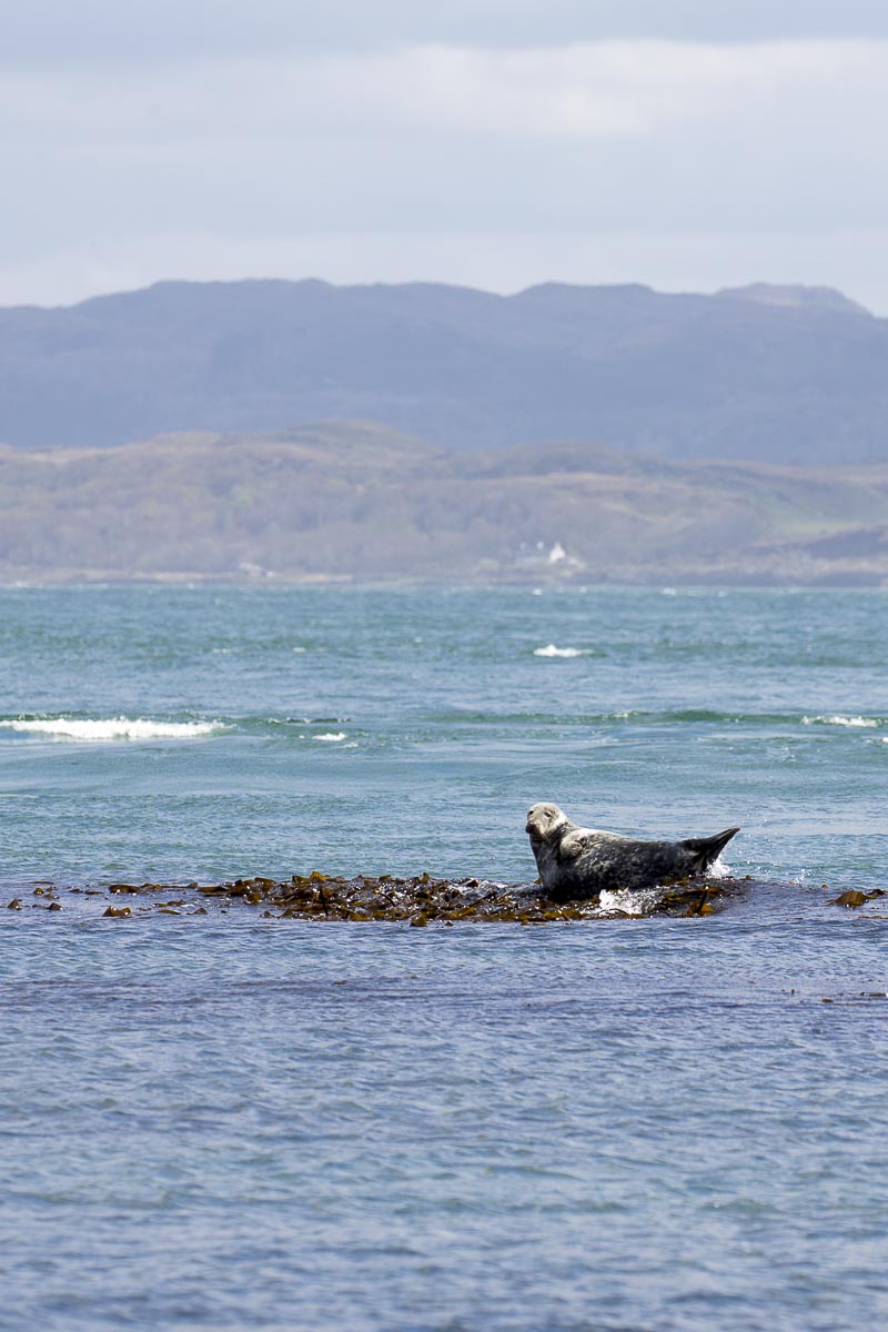 Argyll Scotland - Jenny Wren Boat Trip - May 5, 2016