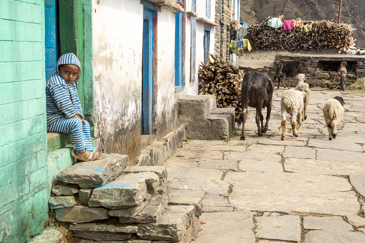 Uttarakhand - Sarayu Valley, Jhuni, Typical Farmstead - March 15, 2013