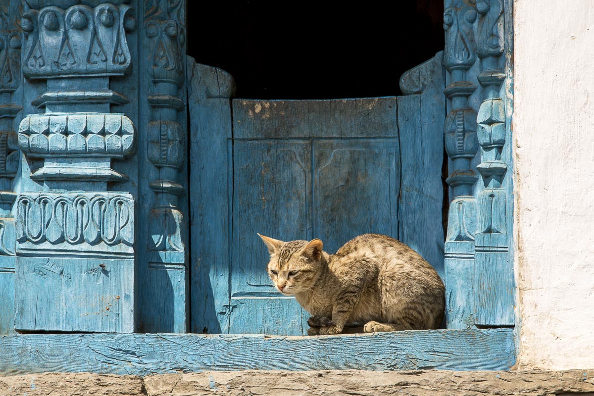 Uttarakhand - Sarayu Valley, Jhuni - March 15, 2013