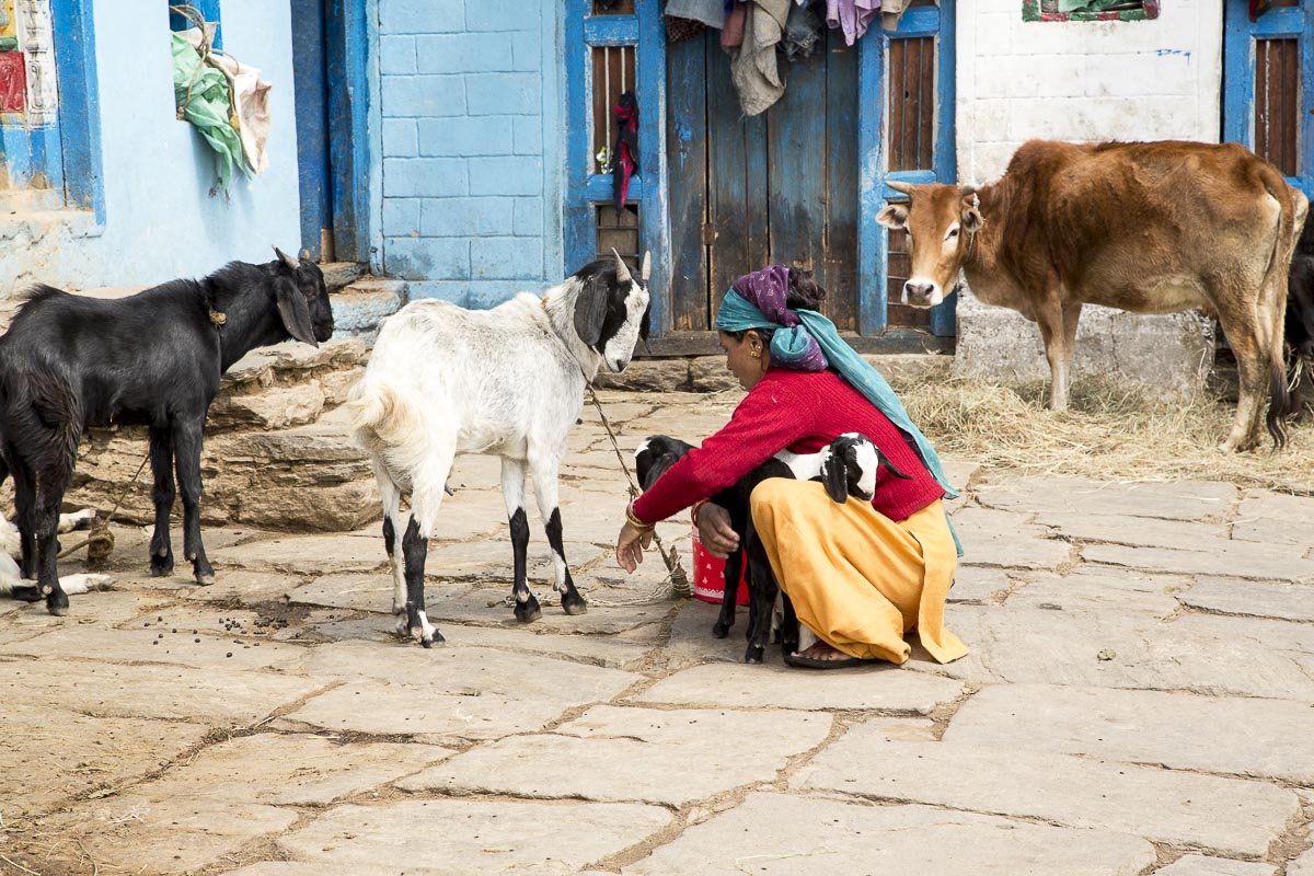 Uttarakhand - Sarayu Valley, Jhuni, Typical Farmstead - March 15, 2013