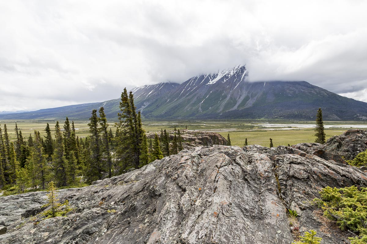 Yukon - Kluane National Park - June 17, 2014