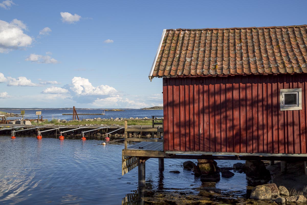 West Sweden - Koster South - June 9, 2013