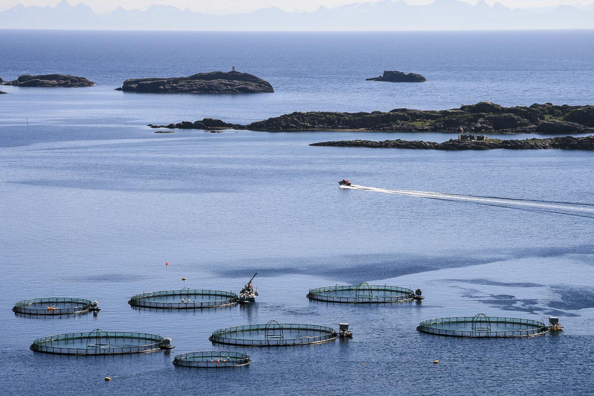 Lofoten Norway - Mortsund - June 14, 2008