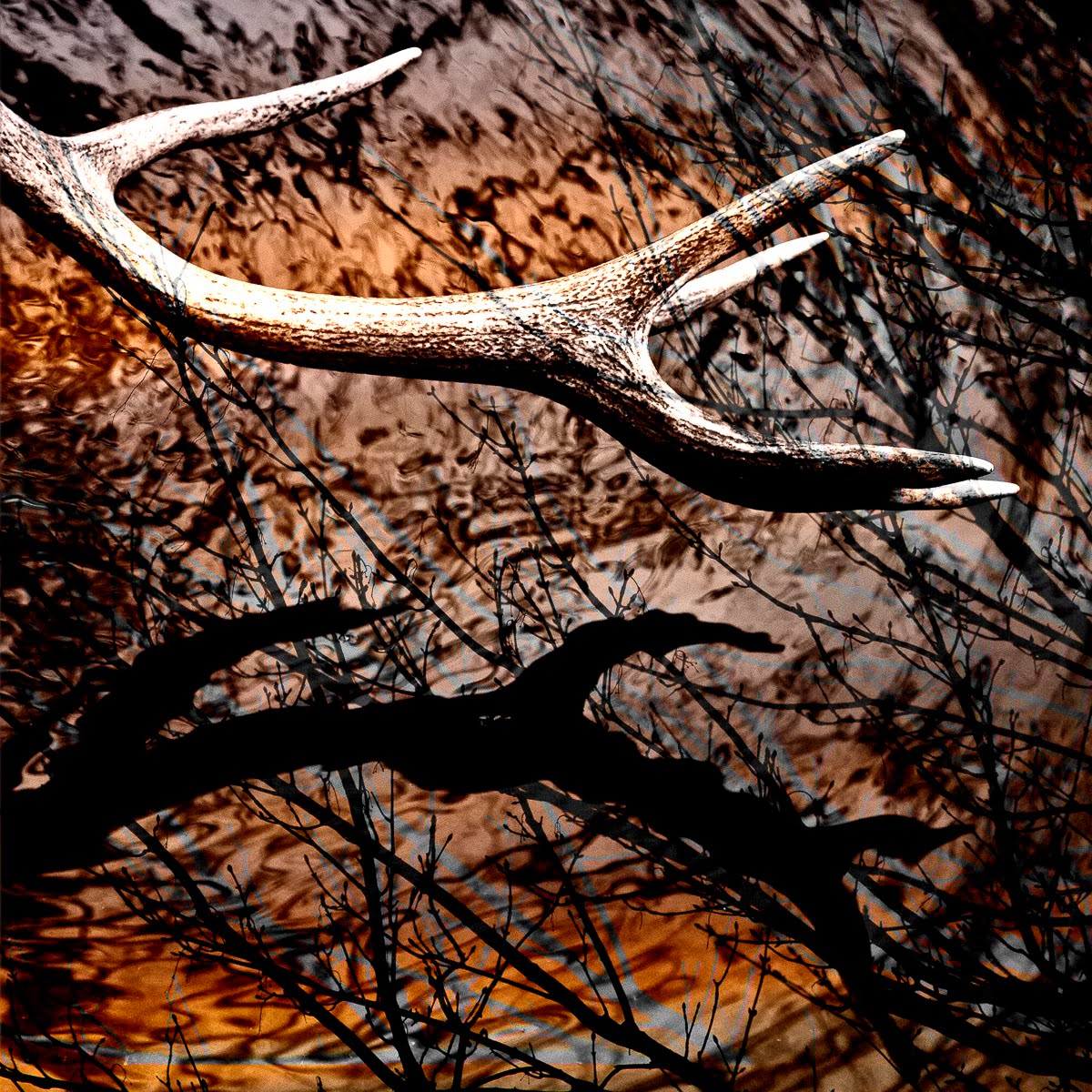 Gate Of Secrets - My Antlers Would Spear You - April 5, 2013