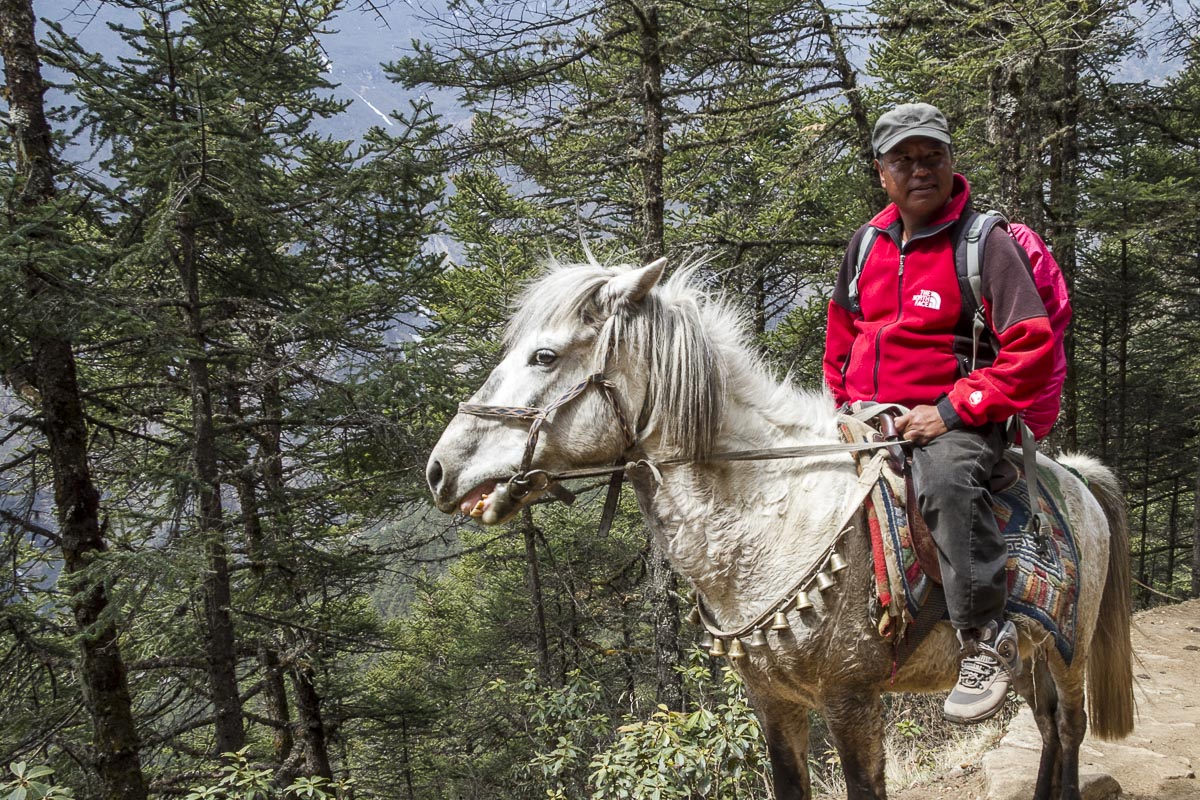 Nepal Everest - Namche Bazar To Thame, Horseman - April 19, 2011