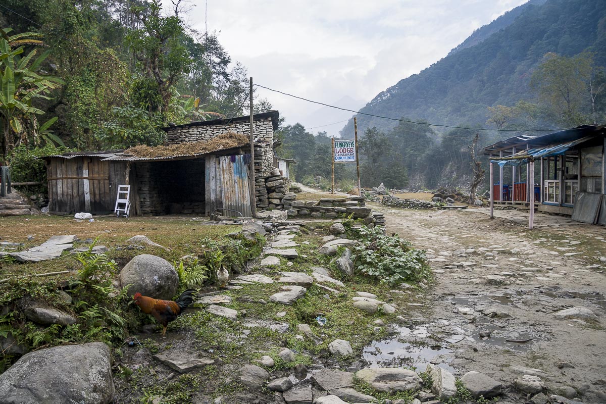 Nepal Annapurna - Birethanti To Gandruk, Hungry Eye Lodge - December 2, 2009