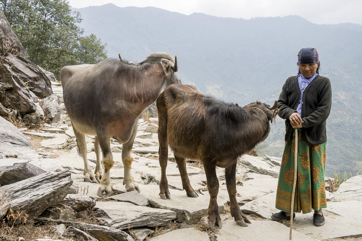 Nepal Annapurna - Birethanti To Gandruk, Mustang Lady - December 2, 2009