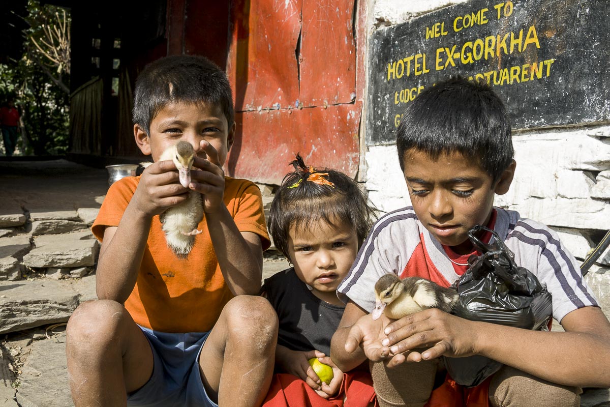 Nepal Annapurna - Gandruk To Birethanti, Children And Ducklings - December 4, 2009