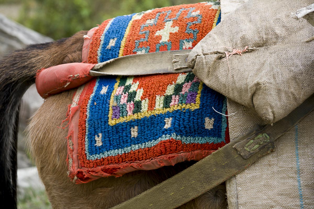 Nepal Annapurna - Gandruk To Birethanti, Tibetan Saddle Rug - December 4, 2009