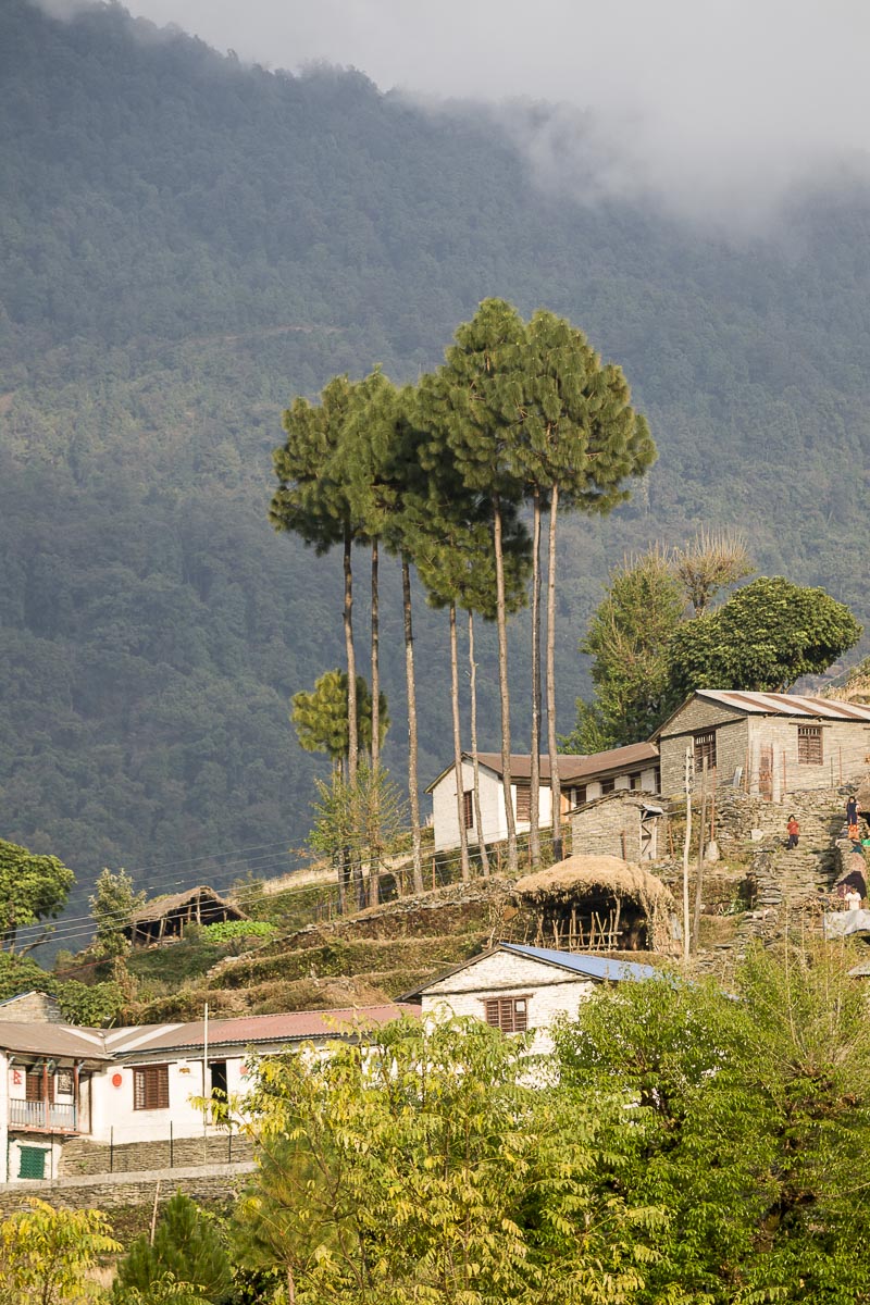 Nepal Annapurna - Mahjaun Village - December 6, 2009