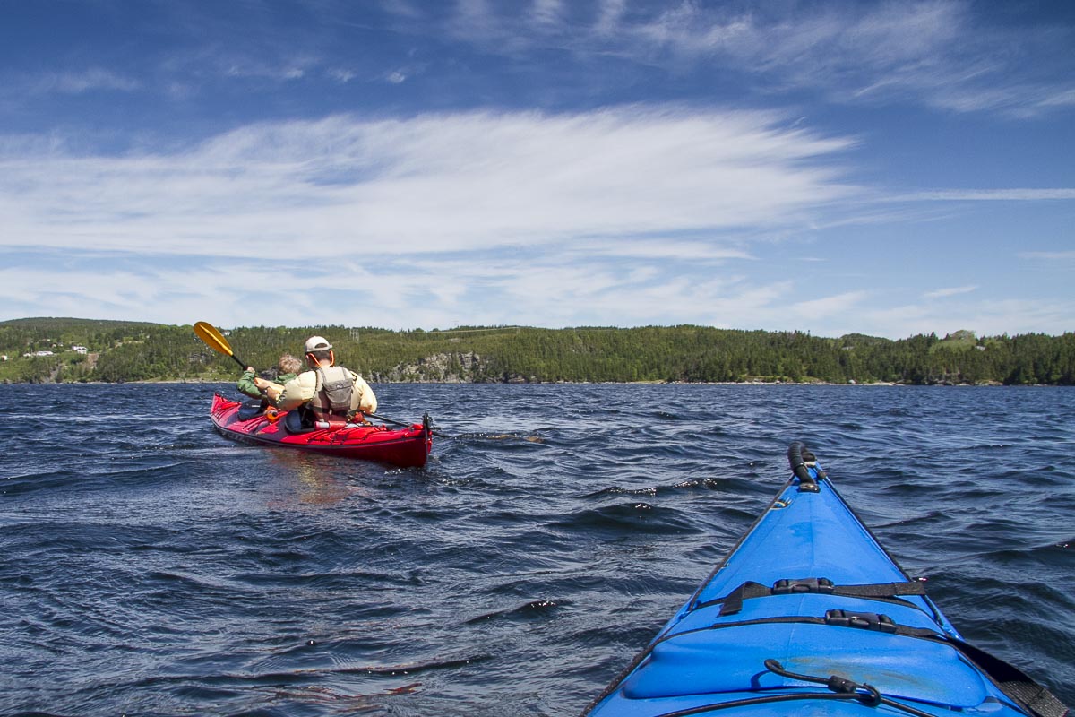 Newfoundland - Avalon Peninsula, Cape Broyle - June 26, 2010