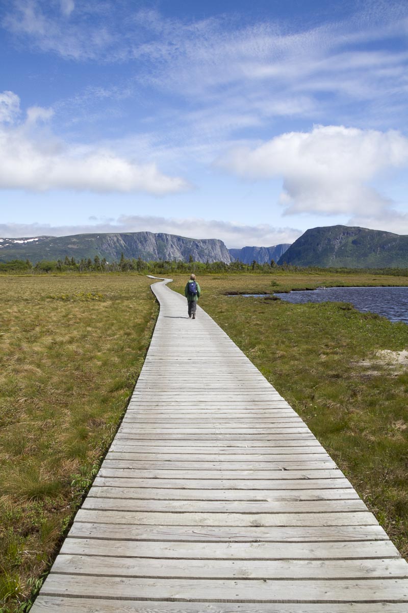Newfoundland - Gros Morne, West Brook - June 21, 2010