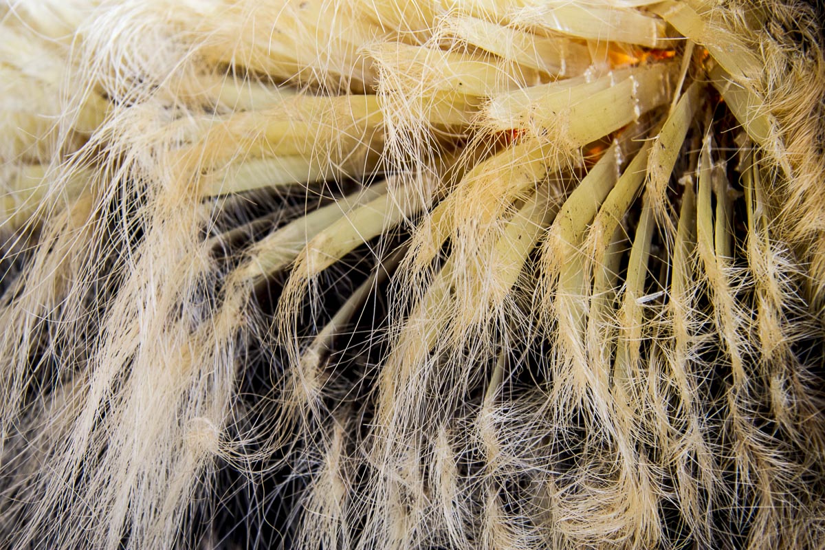 Newfoundland - Prime Berth Museum - June 23, 2010