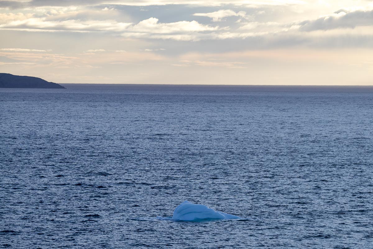 Newfoundland - Quirpon Island - June 27, 2010