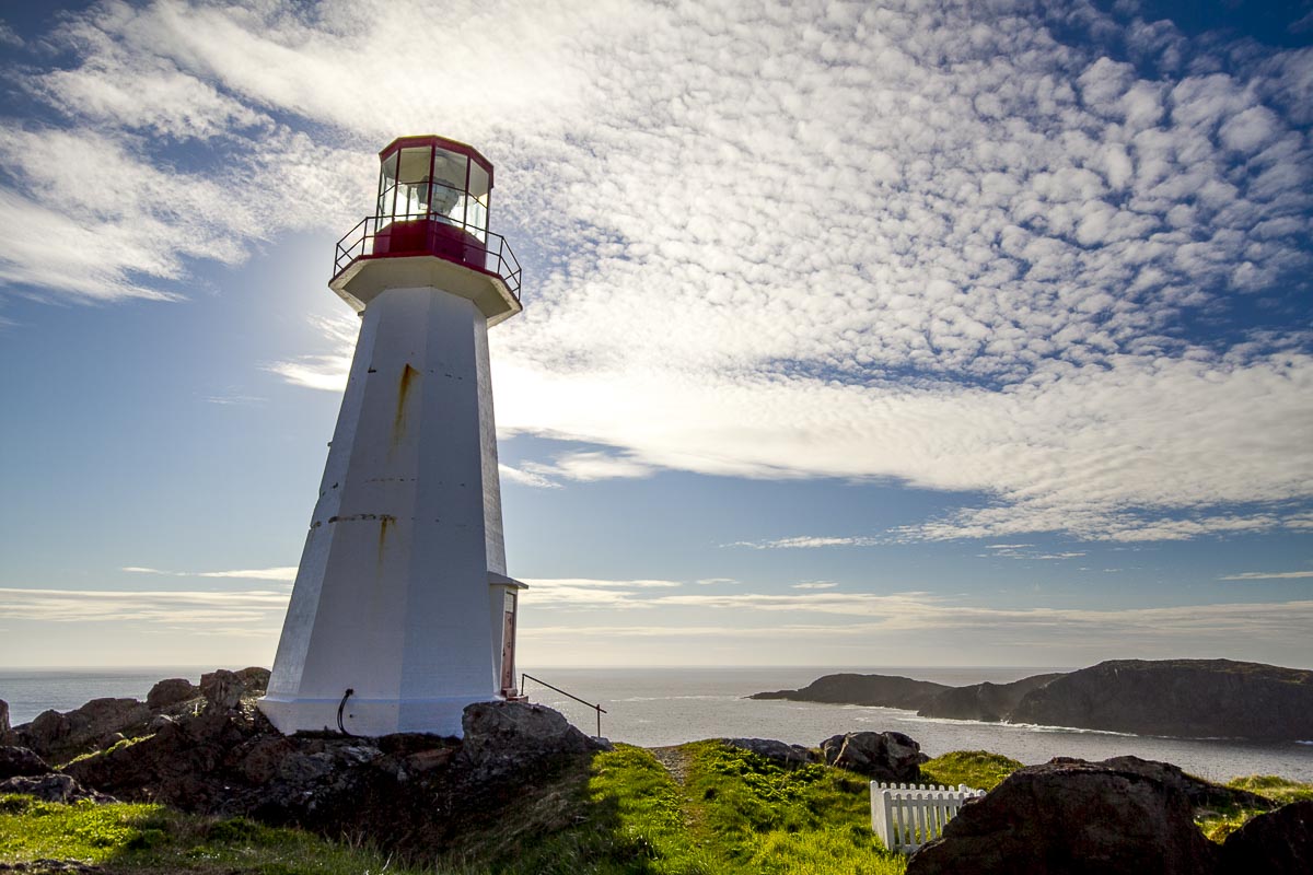 Newfoundland - Quirpon Island - June 28, 2010
