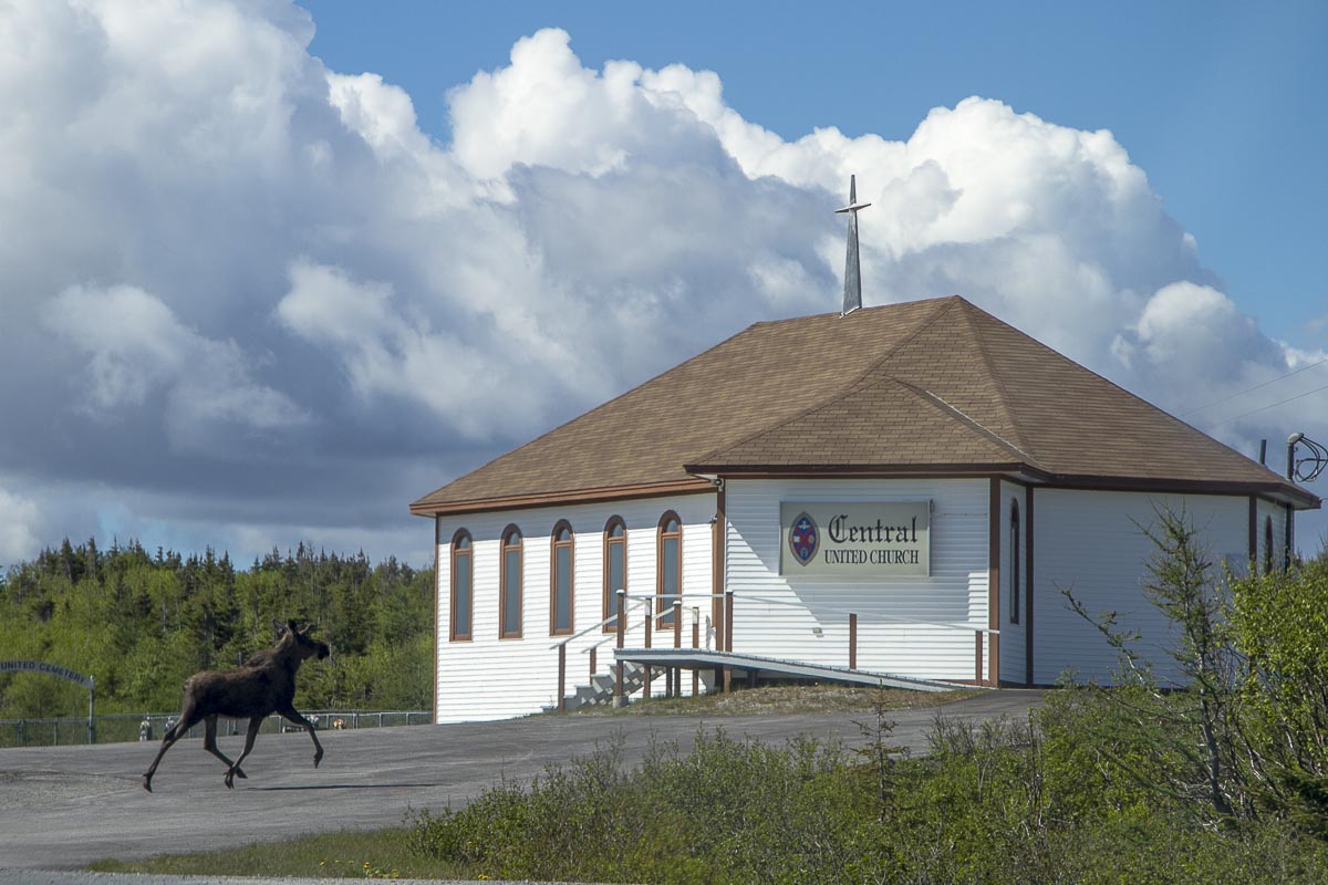 Newfoundland - St Anthony - June 28, 2010