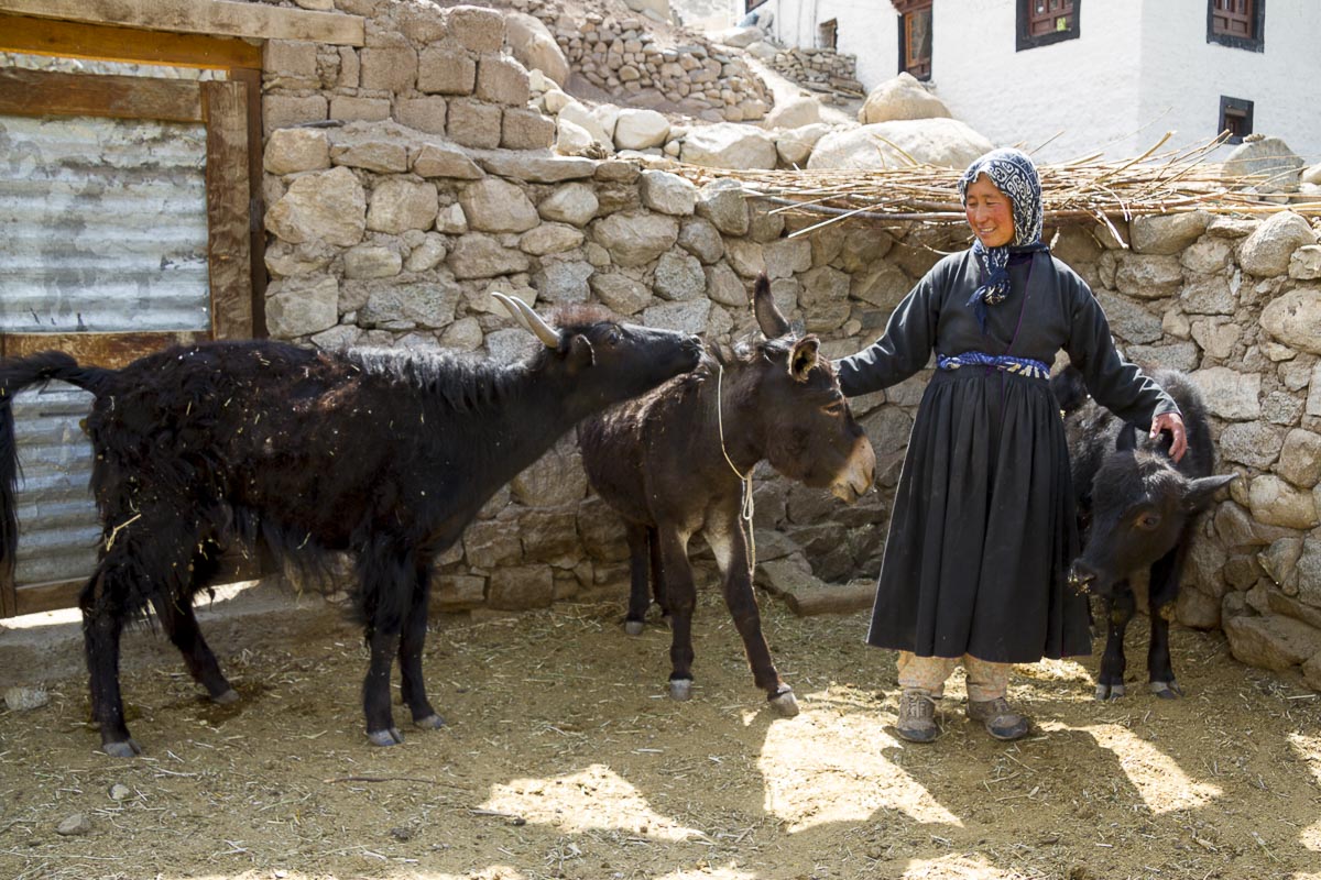 Ladakh - Nimoo - June 23, 2012