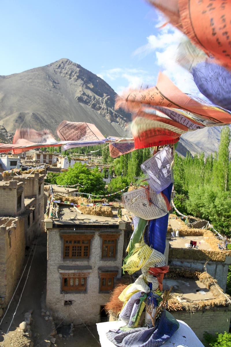 Ladakh - Nimoo - June 22, 2012