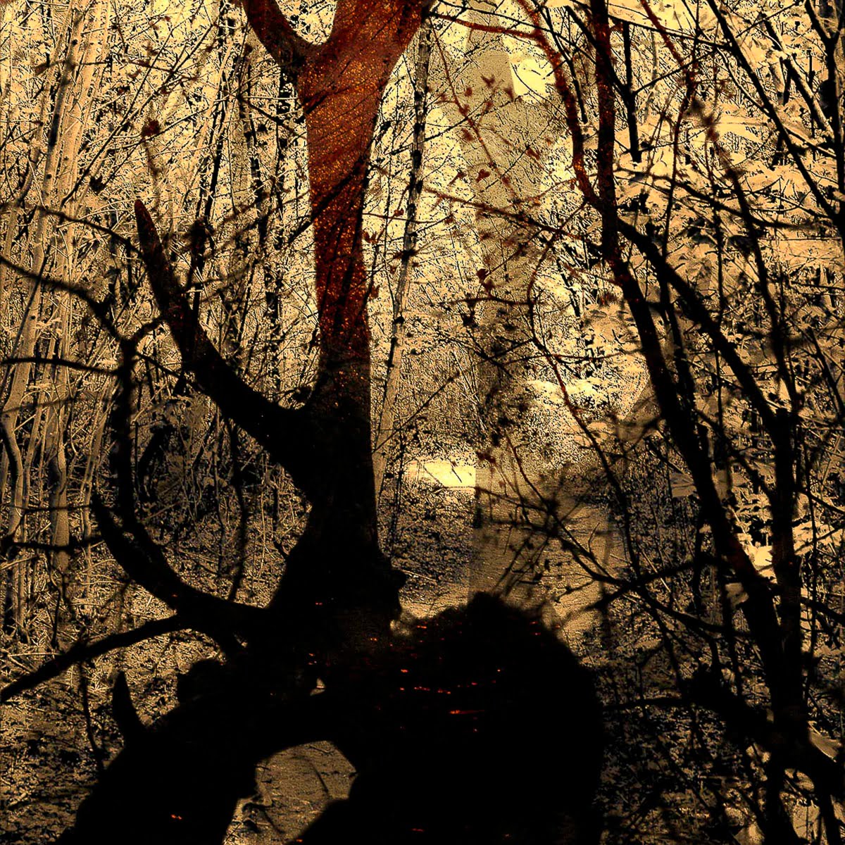 Gate Of Secrets - Only The Green Forest Can Hold Me - May 6, 2013