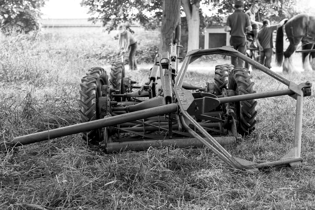 Operation Centaur - Ham Avenues, Surrey, Grass Cutting - June 5, 2015