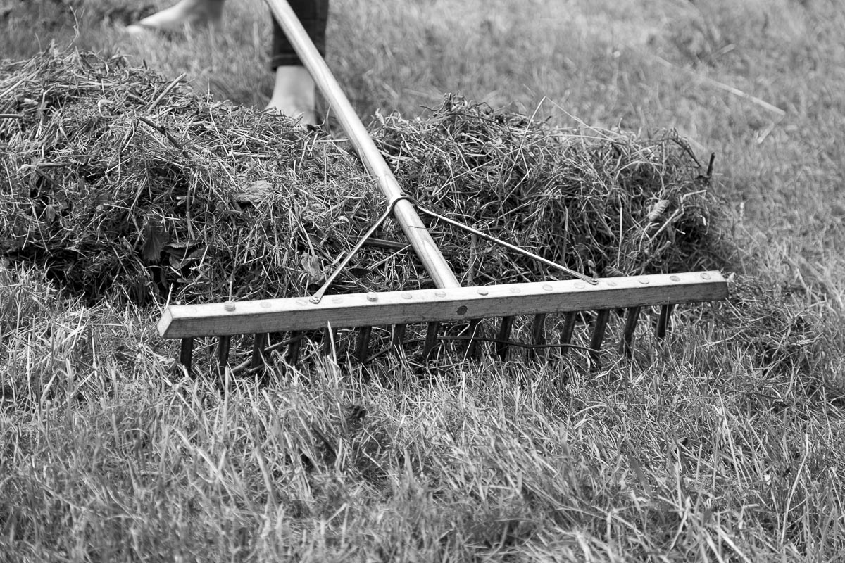 Operation Centaur - Ham Avenues, Surrey, Grass Cutting - June 5, 2015
