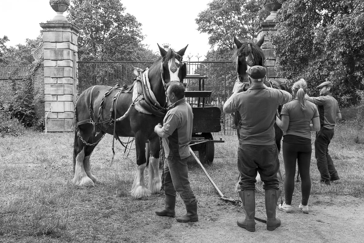 Operation Centaur - Ham Avenues, Surrey, Grass Cutting - June 5, 2015